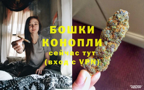 mdpv Новозыбков