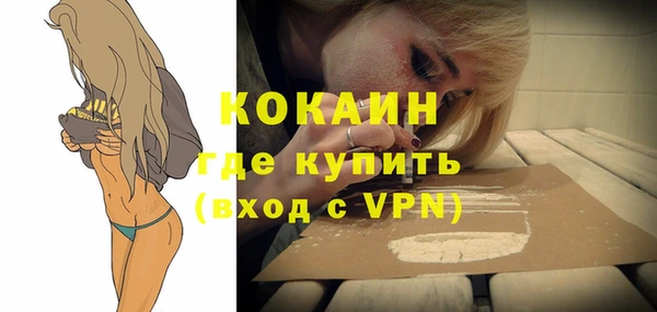 шишки Нея
