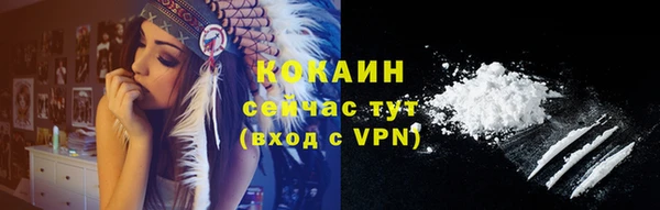 шишки Нея