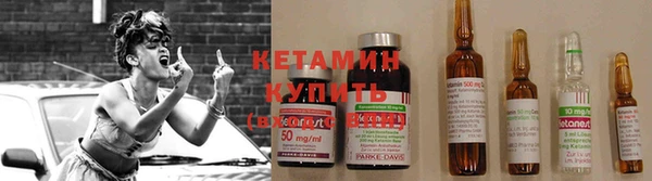 шишки Нея