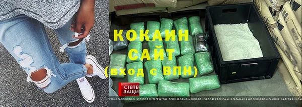 шишки Нея