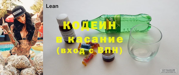 шишки Нея