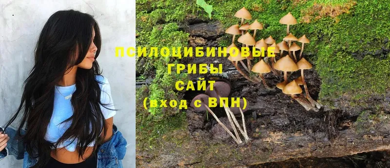 OMG ССЫЛКА  Островной  Псилоцибиновые грибы Magic Shrooms  это какой сайт  что такое наркотик 